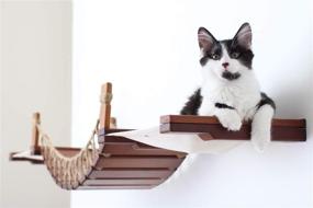 img 2 attached to 🐱 Elevate Your Cat's Playtime with the CatastrophiCreations Cat Bridge Wall-Mounted Toy Tree