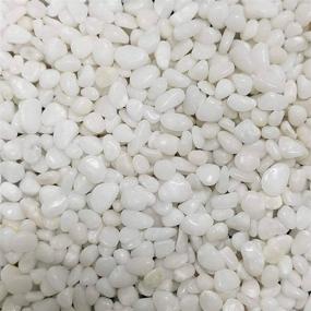 img 4 attached to Versatile SACKORANGE 3lb Decorative Polished White Pebbles: Ideal for Aquariums, Landscaping, and Home Decor