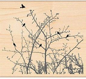 img 1 attached to 🌲 Winter Ledge Wood Mounted Rubber Stamp - Penny Black 4271L