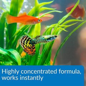 img 1 attached to 🐠 API Aqua Essential All-in-One Aquarium Water Conditioner - Highly Concentrated Formula to Instantly Remove Chlorines, Chloramines, Ammonia, Nitrites, Nitrates, and Neutralize Heavy Metals