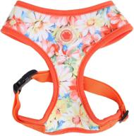 🌸 puppia authentic spring garden harness a: a stylish and reliable pet exercising solution logo