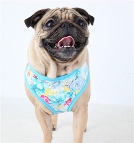 img 1 attached to 🌸 Puppia Authentic Spring Garden Harness A: A Stylish and Reliable Pet Exercising Solution