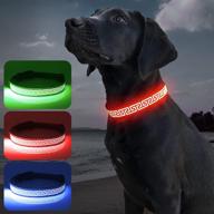 candofly glowing led dog collar logo