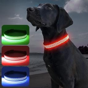 img 4 attached to Candofly Glowing LED Dog Collar