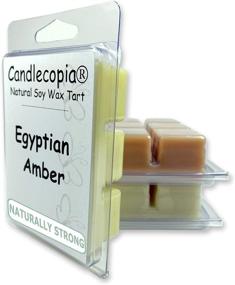 img 2 attached to 🕯️ Candlecopia Sweet Patchouli, Indian Sandalwood, and Egyptian Amber Vegan Wax Melts - Strongly Scented Hand Poured Wax Cubes, 18 Cubes, 9.6 oz in 3 x 6-Packs