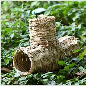 img 2 attached to 🏞️ Nature's Hideaway Grass Tunnel Toy: Ideal Lightweight Home for Rats, Hamsters, Ferrets, Guinea Pigs, Chinchillas, Hedgehogs, Budgies