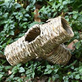 img 3 attached to 🏞️ Nature's Hideaway Grass Tunnel Toy: Ideal Lightweight Home for Rats, Hamsters, Ferrets, Guinea Pigs, Chinchillas, Hedgehogs, Budgies