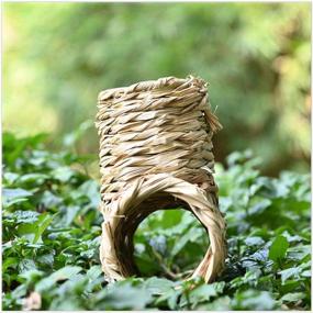 img 1 attached to 🏞️ Nature's Hideaway Grass Tunnel Toy: Ideal Lightweight Home for Rats, Hamsters, Ferrets, Guinea Pigs, Chinchillas, Hedgehogs, Budgies