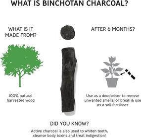 img 1 attached to 🍶 BPA Free Water Bottle: BLACK+BLUM Eau Good with Charcoal Filter, Traditional Japanese Binchotan Charcoal, Supercharge Hydration & Leak Proof, 800ml, Black