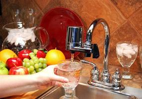 img 1 attached to 🚰 Enhance Your Water Quality with Instapure F2 CHROME CAP SYSTEM Faucet Filter System