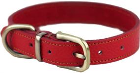 img 4 attached to Premium Genuine Leather Dog Collar by Tellpet