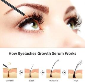 img 2 attached to Eyelash Enhancer Natural Extract Eyelashes