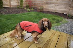 img 2 attached to Louie de Coton Limited Edition Small Dog Vest - Sporty, Water Repellent, Windproof, Breathable Soft Shell - Made in USA