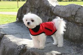 img 1 attached to Louie de Coton Limited Edition Small Dog Vest - Sporty, Water Repellent, Windproof, Breathable Soft Shell - Made in USA