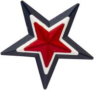 🌟 alloy red and blue star lapel pin brooch for knighthood logo