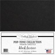 🖤 premium black licorice cardstock paper - 12 x 12 inch 65 lb. - 25 sheets from cardstock warehouse: high-quality for crafting and printing purposes logo