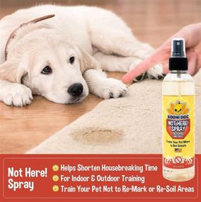 img 3 attached to 🚫 Bodhi Dog No More Marking Spray: Pet Training Repellent for Puppies & Dogs - Indoor/Outdoor Use, USA Made