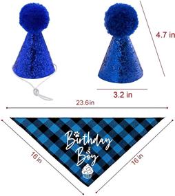 img 1 attached to 🎉 Family Kitchen Classic Blue Plaid Pet Puppy Dog Bandana with Birthday Party Hat Accessory & Scarf Set - Boy Dog Birthday Outfit, Party Supplies for Pet Celebration