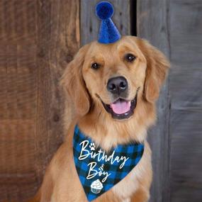 img 2 attached to 🎉 Family Kitchen Classic Blue Plaid Pet Puppy Dog Bandana with Birthday Party Hat Accessory & Scarf Set - Boy Dog Birthday Outfit, Party Supplies for Pet Celebration