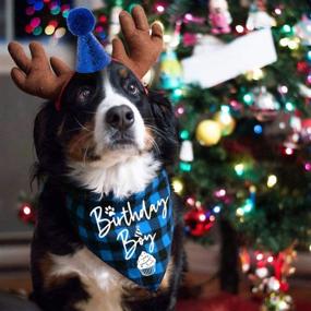 img 3 attached to 🎉 Family Kitchen Classic Blue Plaid Pet Puppy Dog Bandana with Birthday Party Hat Accessory & Scarf Set - Boy Dog Birthday Outfit, Party Supplies for Pet Celebration