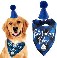 🎉 family kitchen classic blue plaid pet puppy dog bandana with birthday party hat accessory & scarf set - boy dog birthday outfit, party supplies for pet celebration логотип