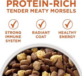 img 2 attached to 🐶 Purina ONE SmartBlend Natural Healthy Weight Adult Dry & Wet Dog Food: Premium Nutrition for a Lean and Fit Pooch