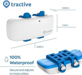 img 3 attached to Tractive Waterproof GPS Dog Tracker: Location, Activity, Unlimited Range (White - Newest Model)