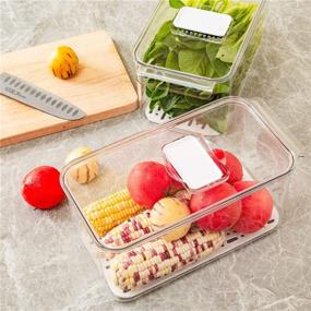 img 1 attached to 🥦 SANNO Produce Saver Fridge Organizer Bins with Lids & Removable Drain Tray - Stackable Food Storage Containers for Kitchen, Refrigerator, Freezer - Set of 2