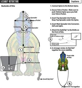 img 1 attached to 🦕 Fun-Filled Adventure with the WindNSun Stegosaurus Rip-Stop Nylon Kite, Standing at 49 Inches Tall