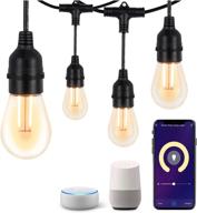 🌟 brillihood 49ft smart led outdoor patio string lights with 15 warm white edison plastic bulbs, 2.4ghz wi-fi app control, waterproof & shatterproof, works with alexa/google assistant logo