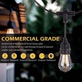 img 3 attached to 🌟 Brillihood 49FT Smart LED Outdoor Patio String Lights with 15 Warm White Edison Plastic Bulbs, 2.4GHZ WI-FI App Control, Waterproof & Shatterproof, Works with Alexa/Google Assistant