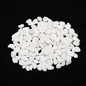 img 3 attached to 🌟 5-Pound CNZ Polished Snow White Rocks for Stunning Plant Aquariums, Landscaping, and Home Decor - 0.8-1.5 inch