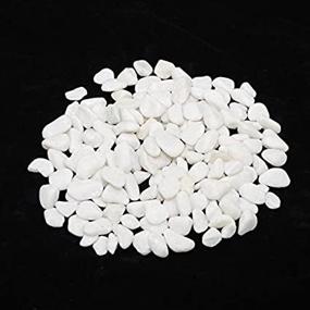 img 2 attached to 🌟 5-Pound CNZ Polished Snow White Rocks for Stunning Plant Aquariums, Landscaping, and Home Decor - 0.8-1.5 inch