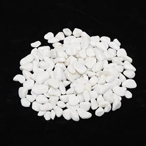 img 4 attached to 🌟 5-Pound CNZ Polished Snow White Rocks for Stunning Plant Aquariums, Landscaping, and Home Decor - 0.8-1.5 inch
