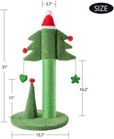 img 2 attached to 🐱 BOLUO 31 Inch Tall Cat Scratching Post Tree for Large Adult Cats - Catcus Cat Scratcher Toy with Teaser Ball - Cute Kitten Kitty Sisal Scratch - Indoor Outdoor Use