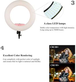 img 3 attached to Yidoblo Bi Color Dimmable Portrait Photography