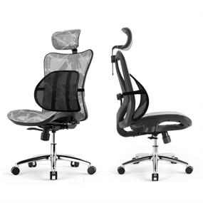 img 3 attached to 🪑 DAFUNY Office Chair Back Support (2 Pack) - Car and Office Lumbar Support Pillow, Double Mesh Lumbar Support, Air Flow Breathable Back Support for Car & Office Chair