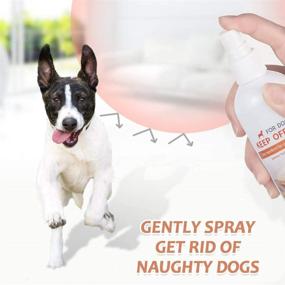 img 1 attached to 🐶 QUTOP Indoor and Outdoor Dog Repellent Spray: Bitter Deterrent for Dogs, Anti-Chew Spray for Puppies