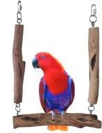 handcrafted natural parrots cockatoo eclectus logo