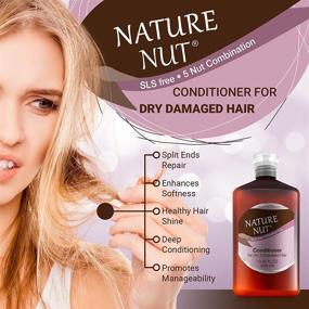 img 2 attached to 🌰 Nourishing Nature Nut Hair Conditioner - Hypoallergenic Deep Conditioner for Dry & Damaged Hair, 5 Nut Natural Blend Moisturizer for Ultra Hair Repair Treatment