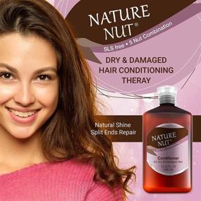 img 1 attached to 🌰 Nourishing Nature Nut Hair Conditioner - Hypoallergenic Deep Conditioner for Dry & Damaged Hair, 5 Nut Natural Blend Moisturizer for Ultra Hair Repair Treatment