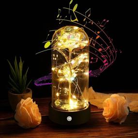 img 3 attached to 🎁 Womens Birthday Gifts: Beauty and The Beast Rose Music Box with LED Lights - Personalized Christmas and Anniversary Presents for Wife, Girlfriend, Mom, Grandma - Forever Rose Gifts, You are My Sunshine