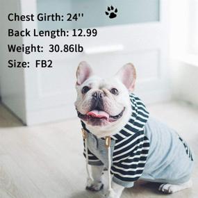 img 2 attached to 🐶 Cozy & Stylish Dog Hoodie: Soft & Warm Cotton Sweatshirt for Small and Medium Dogs, Ideal Fall/Winter Wear!