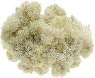 🌿 preserved reindeer moss in cream color - 8 ounces, ideal for fairy gardens, terrariums, crafts, and floral projects. includes bonus nautical ebook by joseph rains logo