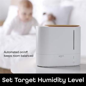 img 2 attached to 🌬️ Geeni Soothe Wi-Fi Smart Humidifier with Humistat Humidity Control, Ultrasonic Cool Mist, and Essential Oil Diffuser - App Control, Alexa and Google Assistant Compatible