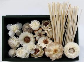 img 2 attached to 🌸 Fulllight Aroma Set - 10 Mixed Floral Diffuser Sticks, 20g Sesame Wood Reed Diffuser and 20 Rattan Wood Diffuser Sticks - Rod and Branch Style - for Aroma Diffuser (FL52)