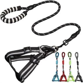 img 4 attached to 🐾 Jecikelon Dog Leash Harness Set: Comfortable Padded Handle, Night Safety Reflective Training Leash & Adjustable Harness (Black, S)