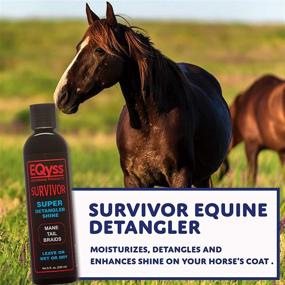 img 3 attached to Eqyss Survivor Equine Detangler: The Ideal 🐴 Solution for Mane, Tail, Braid, and Feathered Leg Styling!