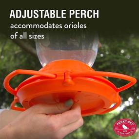 img 1 attached to 🐦 Opus Plus Oriole Feeder - Durable 32-ounce Plastic Feeder by Perky-Pet 449-2
