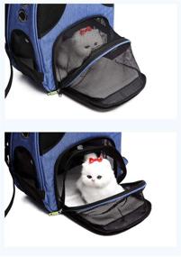 img 2 attached to 🐱 STAR VASTO Deluxe Cat Backpack Carrier: Airline-Approved Pet Carrier for Small Cats and Puppies – Ideal for Travel, Hiking, and Outdoor Adventures with Ventilated Design and Oxford Fabric